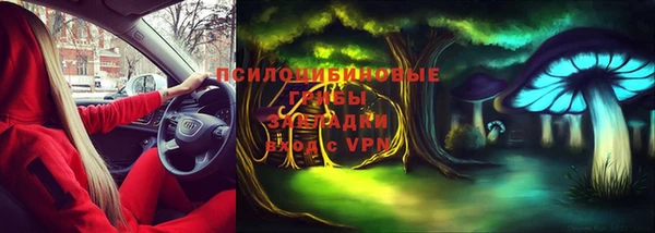 дживик Вязьма