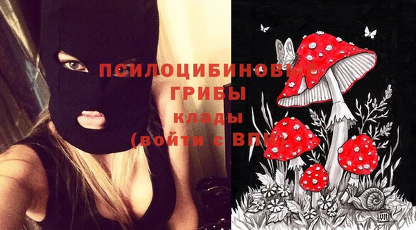 крисы Вяземский
