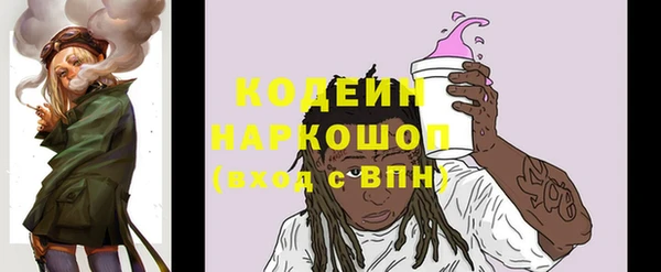 дживик Вязьма