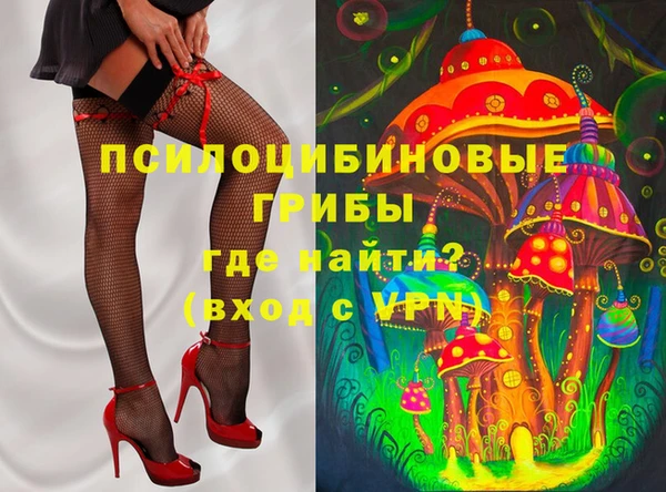 крисы Вяземский