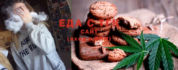гашик Горнозаводск