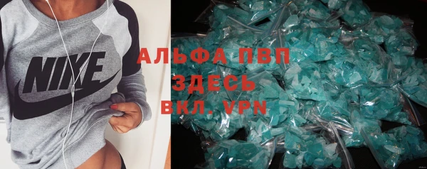 дживик Вязьма