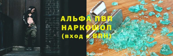 дживик Вязьма