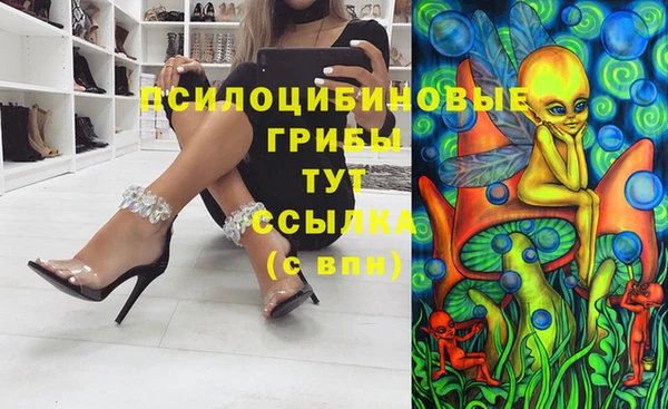 дживик Вязьма